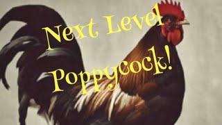 Next Level Poppycock [upl. by Skelton131]