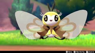 Ribombee is very cute [upl. by Drolet]