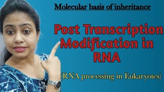 Post transcription modification of mRNA  capping tailing RNA processing in Eukaryotes  class 12 [upl. by Nacul]