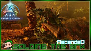 Building a Waterfall Base  Soloing the Ark Ascended 15 [upl. by Riek]