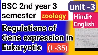 Bsc 2nd year 3semster zoology topic Regulations of gene expression in eukaryotic [upl. by Aeneus150]