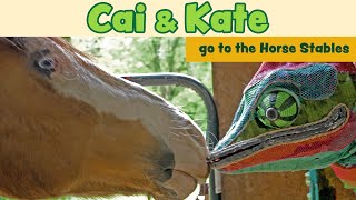 Episode 14 Cai Goes to the Horse Stables [upl. by Yuma]