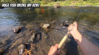 CRAZY Day of Steelhead Fishing Unexpected Fish Caught [upl. by Mathis]