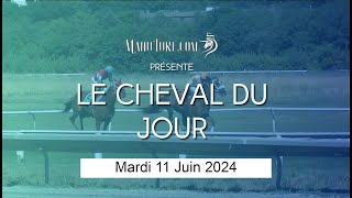 Le Cheval du Jour  PRONOSTIC PMU  Mardi 11062024 [upl. by Aney800]