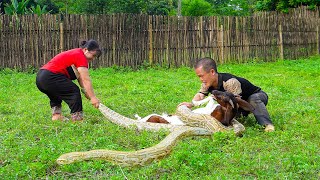 Dwarf Family Rescues Goat Attacked By Giant Python amp Catches Loach  Mountain VN Gives Ducks [upl. by Neerroc]