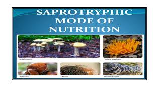 Saprophytes Video No 534 [upl. by Dupaix793]