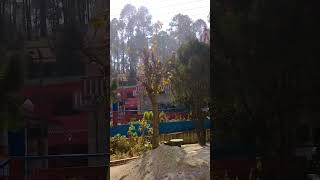 Binsar Mahadev temple in Uttarakhand shorts shortvideo music song [upl. by Philbin911]