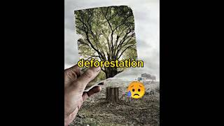 deforestation shortvideo viral youtubeshorts deforestation [upl. by Chin]