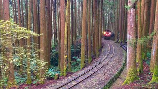 Alishan Forest Railway cargo train Feb62018 [upl. by Naryt]