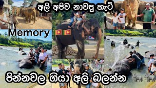 ලංකාවේ මතකයන් 🇱🇰  Pinnawala Elephant Orphanage 🐘🐘🐘🐘  Madu Liyanage [upl. by Assillim628]