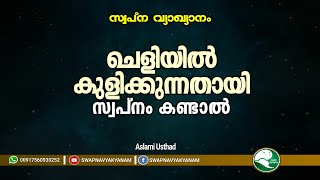 ചെളിയിൽ കുളിക്കുന്നതായി കണ്ടാൽ  If you dream of bathing in mud  Aslami Usthad  Swapna vyakyanam [upl. by Knipe837]