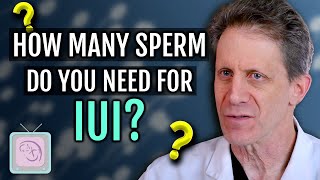 IUI  How many sperm do you need [upl. by Analra]