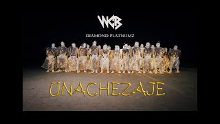 Diamond Platnumz  Unachezaje Official Music Video [upl. by Nutsud]