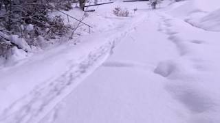 surly ice cream truckで高山雪上ライド [upl. by Keviv]