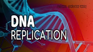 DNA Replication  Helicase  leading strand  Lagging strand  Okazaki fragments [upl. by Otrebron]