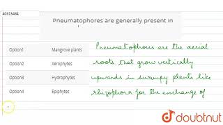 Pneumatophores are generally present in [upl. by Anny601]