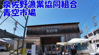 魚貝類値段撮影❗超安い泉佐野漁業協同組合青空市場値段と海鮮丼、魚貝類寿司の店メニュー [upl. by Omari]