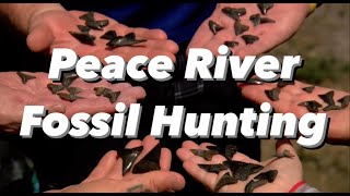 Wild About SWFL Peace River Fossil Hunting [upl. by Materi]