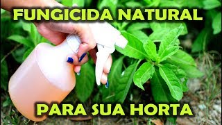 FUNGICIDA PRÁTICO E NATURAL PARA SUA HORTA [upl. by Ehsiom]