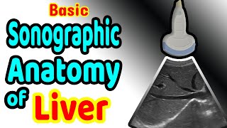 Basic Sonographic Anatomy of the Liver [upl. by Barby500]