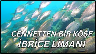 Saros Körfezi  İbrice Limanı Tüplü Dalış  Cennet Dalış Bölgesi  Scuba Diving [upl. by Asamot]