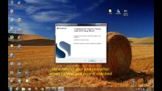 how to install steganos 2012 full [upl. by Jada]