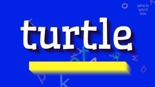 TURTLE  How to say Turtle [upl. by Herrmann]