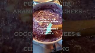 Tropical Chia Pudding  Coconut lychees amp blueberries [upl. by Clorinde35]