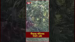 সীমান্তে কাঁটাতার নির্মাণ চেষ্টা [upl. by Lundin]