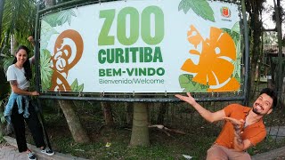 Zoológico de Curitiba [upl. by Repsihw935]