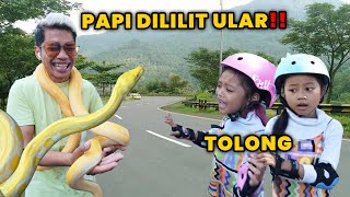 TOLONG PAPI DILILIT ULAR ALUNA DAN AMANDA LANGSUNG PANIK [upl. by Tindall]