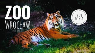 Zoo Wrocław 🐯🐘🐵 Afrykarium ★ atrakcje turystyczne ★ Walking Tour [upl. by Chad]