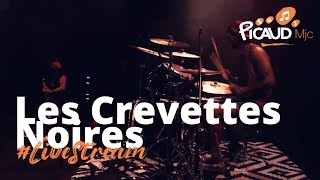 Les Crevettes Noires  LiveStream [upl. by Crispin]