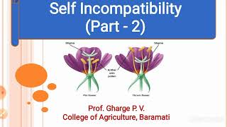 Lecture No 4  Self Incompatibility Part  2 [upl. by Gifferd935]