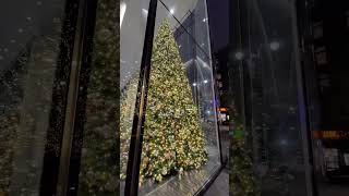 Christmas trees in New York City • Christmas 2021 Manhattan West development christmas newyork [upl. by Niattirb]