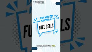 Fuel Cells Pioneering Clean Energy Solutions fuelcells renewableenergy futureenergy innovation [upl. by Gold145]