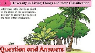 6th Science lesson 3 Diversity in living things and their classification Question and Answers [upl. by Oflodur]