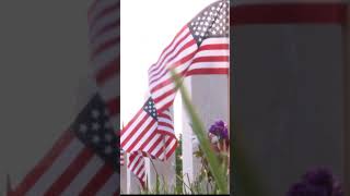 American flags placed near graves at Fort Snelling National Cemetery on MemorialDay shorts kare11 [upl. by Lyrehs]