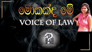 What is quotVoice of Lawquot  Introduction l නීතියේ හඬ  හදුන්වාදීම [upl. by Fazeli183]