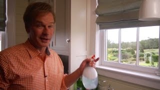 Homemade Window Cleaner  At Home With P Allen Smith [upl. by Eidnas654]