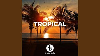 Tropical Instrumental Afrobeat [upl. by Litton22]