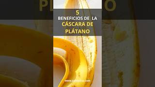 5 Beneficios de la cáscara de plátano para la salud [upl. by Yanat]