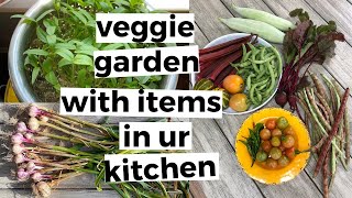 Starting A Vegetable Garden From What You Have At Home  Gardening for Beginners Vegetables [upl. by Akilat]