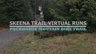 Skeena Virtual Trail Run  Packhorse [upl. by Nyliram]