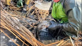 Breaking the ice and catching fish with bare hands ” When I met an uncle from the village [upl. by Cut523]