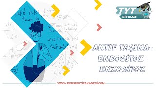 Aktif Taşıma  Endositoz  Ekzositoz [upl. by Teirrah46]