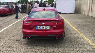 2017 Kia Stinger GT startup and revving [upl. by Naesyar]