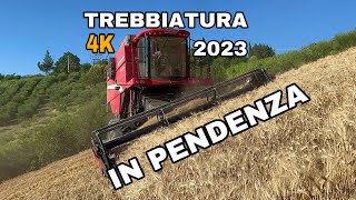 TREBBIATURA grano duro 2023  LAVERDA ALQUATTRO AUTOLIVELLANTE [upl. by Akeimahs]