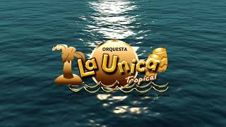 ME RECORDARAS  LA UNICA TROPICAL VIDEO LYRIC [upl. by O'Meara]