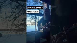 Brain damage Pink Floyd Fingerstyle [upl. by Tiffa]